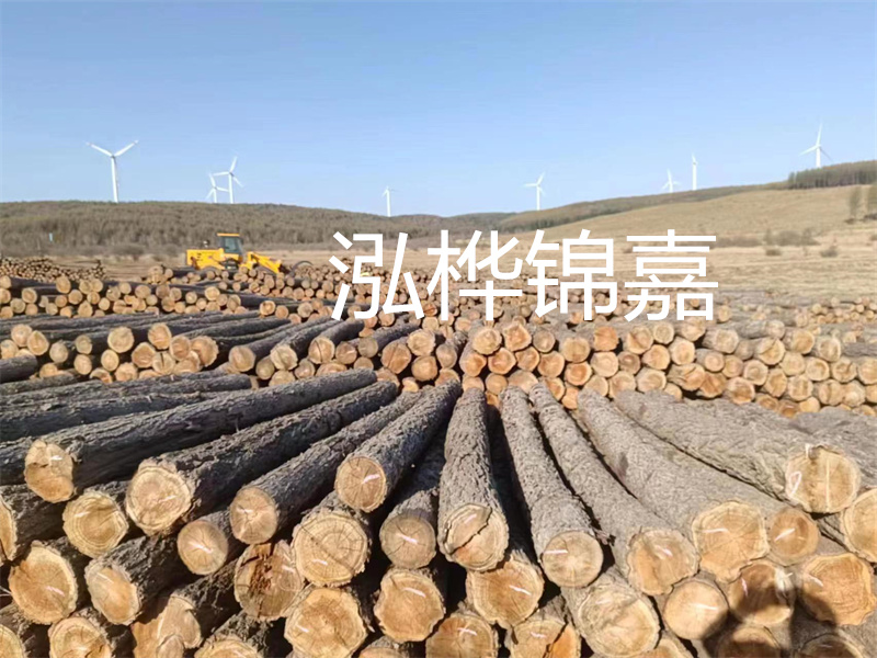 溫州松木樁施工廠家——為您打造堅固穩定的建筑基礎！